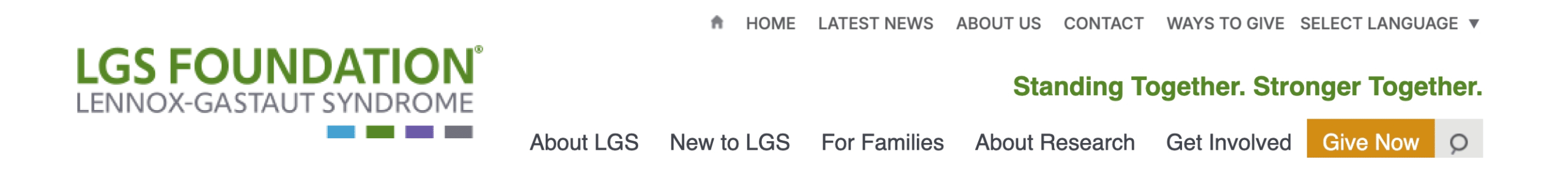 lgsfoundatiuon-header